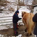 Reiten_002