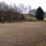 Reiten_003