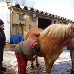 Reiten_004