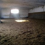 Reiten_005