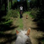 Wanderritte_005