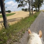 Wanderritte_009